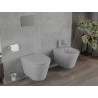 Mexen Rico Cuvette WC Rimless avec abattant à descente ralentie slim, duroplast, gris clair mat - 30724061