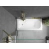 Baignoire rectangulaire Mexen Vega 150 x 70 cm avec revêtement et paroi 1-volet 100 cm, transparent, doré - 550115070X951000005?