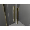 Mexen Velar Cabine de douche coulissante Duo 100 x 100 cm, transparente, or - 871-100-100-02-50