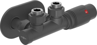 Mexen G00 ensemble thermostatique angulaire avec cache R, Duplex, DN50, anthracite - W907-900-905-66