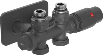 Mexen G00 ensemble thermostatique coudé/droit avec cache S, Duplex, DN50, anthracite - W908-900-910-66