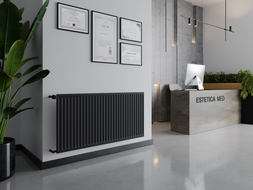 Radiateur plat Mexen CH10 Hygiene 400 x 600 mm, raccordement latéral, 259 W, anthracite - W410H-040-060-66