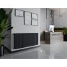 Radiateur plat Mexen CH20 Hygiene 600 x 2800 mm, branchement latéral, 3078 W, anthracite - W420H-060-280-66