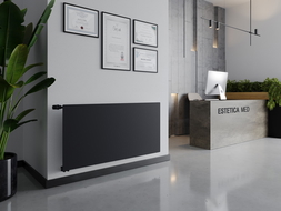 Radiateur à panneaux Mexen CVH10 Hygiene 500 x 1000 mm, raccordement inférieur, 530 W, anthracite - W610H-050-100-66