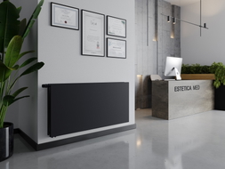 Mexen CVHF20 Radiateur Plat Hygiénique 600 x 1200 mm, connexion inférieure, 1204 W, anthracite - W620HF-060-120-66