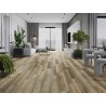 Mexen Cortland panneaux vinyles 1240 x 182 mm SPC 6,5 mm, sous-couche IXPE 1,5 mm, 4 V-Joints, Chêne