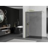 Mexen Kioto paroi de douche Walk-in 140 x 200 cm, graphite 8 mm, or brossé - 800-140-101-55-40