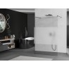 Mexen Kioto paroi de douche autoportante 100 x 200 cm, transparent/verre dépoli 8 mm, gris fusil brossé - 800-100-002-66-35