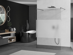 Mexen Kioto paroi de douche autoportante 120 x 200 cm, transparent/verre dépoli 8 mm, gris fusil brossé - 800-120-002-66-35
