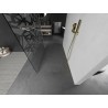 Mexen Kioto paroi de douche autoportante 100 x 200 cm, motif blanc 8 mm, or brossé - 800-100-002-55-85