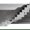 Mexen Kioto L paroi de douche arrondie Walk-in 100 x 200 cm, transparent, laiton brossé - 800-100-103-65-06