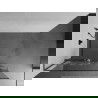 Mexen Kioto+ L paroi de douche avec étagère Walk-in 100 x 200 cm, motif blanc, gun gray brossé - 800-100-123-66-85