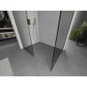 Mexen Kioto paroi de douche Walk-in 80 x 80 cm, transparente, or - 800-080-202-50-00-080
