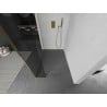 Mexen Kioto panneau de douche Walk-in 90 x 30 cm, transparent, doré - 800-090-212-50-00-030