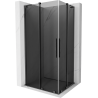 Mexen Velar L Duo cabine de douche coulissante 100 x 90 cm, graphite, gris brossé - 871-100-090-02-43-66