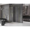 Mexen Velar L cabine de douche coulissante 100 x 120 cm, transparent, or brossé - 871-100-120-03-55