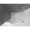 Mexen Velar L cabine de douche coulissante 100 x 75 cm, transparent, nickel brossé - 871-100-075-03-97