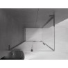 Mexen Velar L cabine de douche coulissante 110 x 120 cm, transparent, gun metal - 871-110-120-03-95