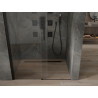 Mexen Omega porte de douche coulissante 120 cm, transparente, noire - 825-120-000-70-00
