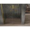Mexen Omega portes de douche coulissantes 140 cm, transparentes, dorées - 825-140-000-50-00