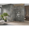 Mexen Omega cabine de douche coulissante 110 x 80 cm, transparente, chromée - 825-110-080-01-00