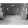 Mexen Velar L Duo porte de douche coulissante 200 cm, transparent, nickel brossé - 871-200-003-02-97