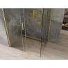 Cabine de douche coulissante Mexen Omega 100 x 80 cm, transparent, dorée - 825-100-080-50-00