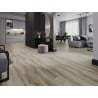 Mexen Richmond échantillon de panneaux vinyles SPC 6,5 mm, sous-couche IXPE 1,5 mm, 4 V-Fuge, Chêne - F1043-S