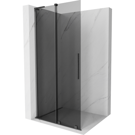 Mexen Velar L paroi de douche coulissante Walk-in 100 x 200 cm, graphite 8 mm, gris canon brossé - 871-100-003-43-66