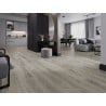 Mexen Silver Creek échantillon de panneaux vinyles SPC 6,5 mm, sous-couche IXPE 1,5 mm, 4 V-Fuga, Chêne - F1047-S