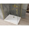Mexen Omega cabine de douche coulissante 100 x 80 cm, transparente, dorée + receveur Flat - 825-100-080-50-00-4010