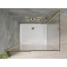 Mexen Omega cabine de douche coulissante 100 x 90 cm, transparent, doré + receveur Flat - 825-100-090-50-00-4010