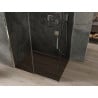 Mexen Omega cabine de douche coulissante 160 x 100 cm, graphite, chrome - 825-160-100-01-40
