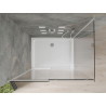Mexen Omega cabine de douche coulissante 120 x 100 cm, transparente, chromée + receveur Flat - 825-120-100-01-00-4010