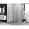Mexen Exo-B Duo cabine de douche battante 100 x 100 cm, transparent, chrome - 814-100-100-01-00