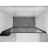 Mexen Exo porte de douche double coulissante 170 cm, transparent, noir - 8152-170-000-70-00