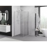 Mexen Exo-S Duo cabine de douche carrée coulissante 90 x 90 cm, transparent, chromé - 8111-090-090-01-00