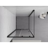 Mexen Exo-S cabine de douche coulissante 100 x 100 cm, transparent, noir - 8151-100-100-70-00