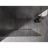 Mexen Kioto-F paroi de douche Walk-in avec cadre 70 x 202 cm, graphite 8 mm, doré - 800-070-104-50-40