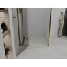 Mexen Roma porte de douche pivotante 120 cm, transparentes, dorées - 854-120-000-50-00