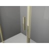 Mexen Exo cabine de douche battante 70 x 90 cm, transparente, or - 8181-070-090-50-00