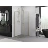 Mexen Exo cabine de douche battante 95 x 95 cm, transparent, or - 8181-095-095-50-00