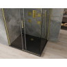 Mexen Omega cabine de douche coulissante 120 x 90 cm, transparente, or + receveur Flat, noir - 825-120-090-50-00-4070G
