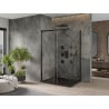 Mexen Omega cabine de douche coulissante 100 x 80 cm, transparente, noire + receveur Flat, noir - 825-100-080-70-00-4070B