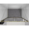 Mexen Exo-S Duo porte de douche double coulissante 160 cm, transparente, dorée - 8152-160-000-50-00