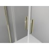Mexen Exo porte de douche double coulissante 170 cm, transparent, doré - 8152-170-000-50-00