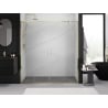Mexen Exo porte de douche double coulissante 170 cm, transparent, doré - 8152-170-000-50-00