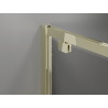 Mexen Exo-BR porte de douche pivotante 60 cm, transparente, dorée - 8181-060-000-50-00