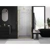 Mexen Exo-BR porte de douche pivotante 70 cm, transparent, dorée - 8181-070-000-50-00