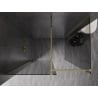 Mexen Kioto-X paroi de douche Walk-in 120 x 80 cm, transparent 10 mm, doré - 800-120-202-50-00-080-X